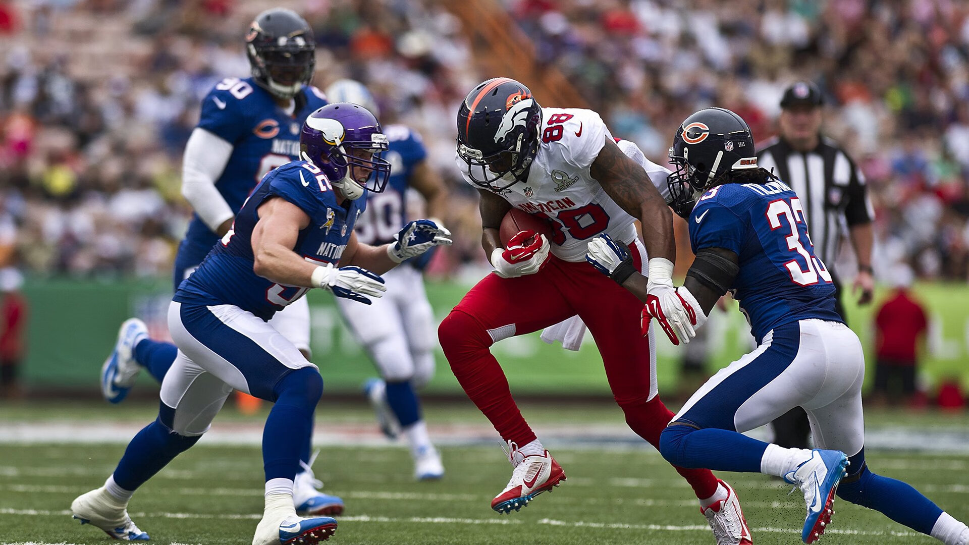 TL引入欧洲新星引关注